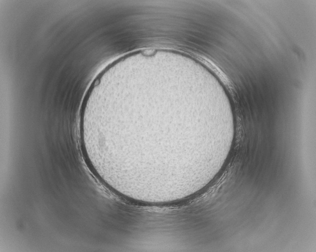 X0000115440996200912020941