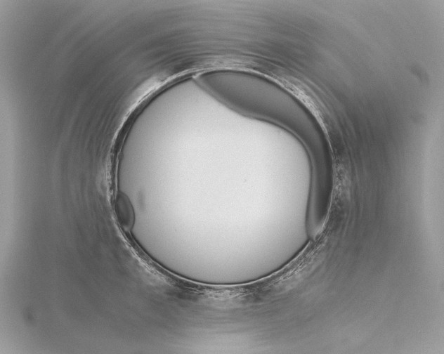 X0000115440997200912020941