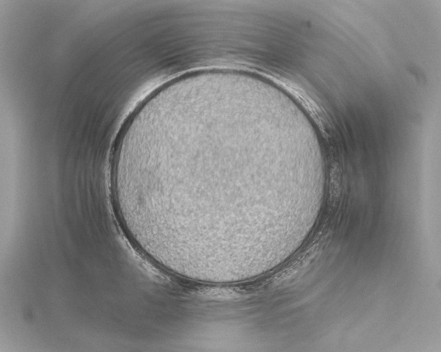 X0000115440998200912020941