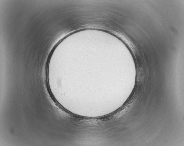 X0000115440999200912020941