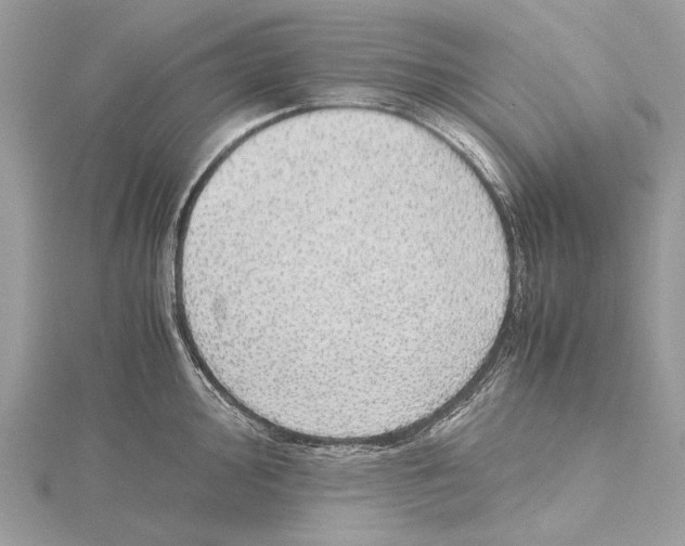 X0000115441000200912020941