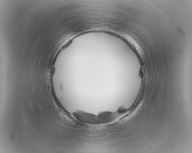 X0000115441001200912020941