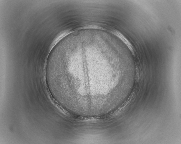 X0000115441002200912020941