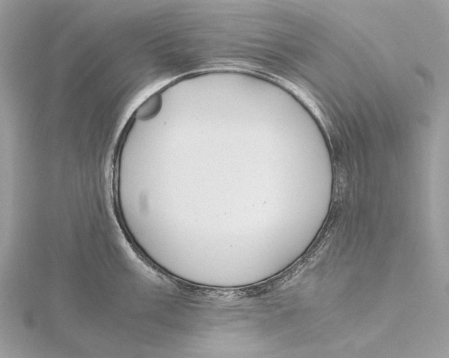 X0000115441003200912020941