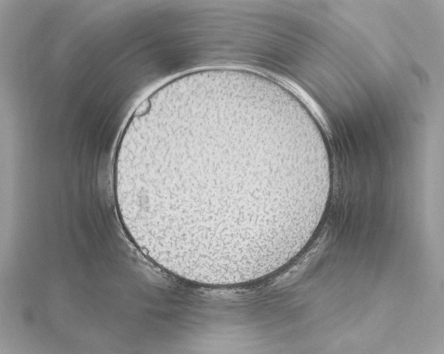 X0000115441004200912020941