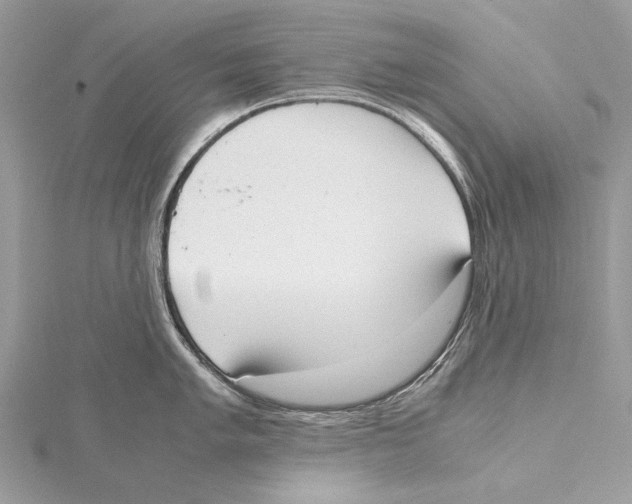 X0000115441005200912020941