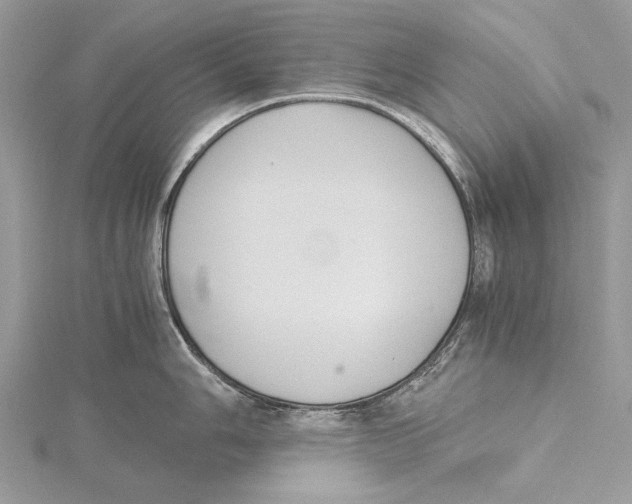 X0000115441006200912020941