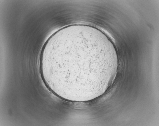 X0000115441007200912020941