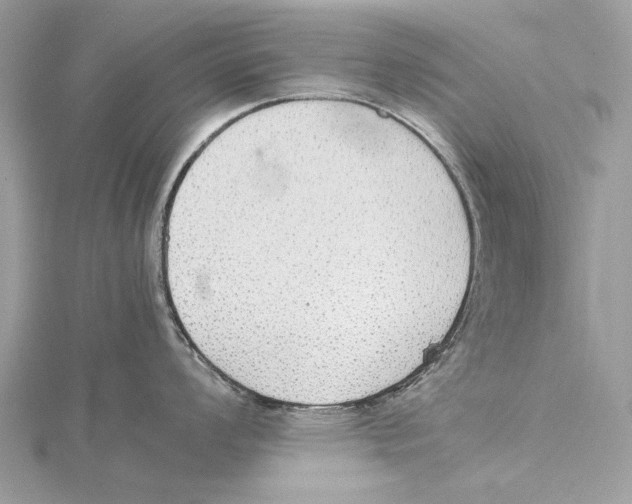 X0000115441008200912020941