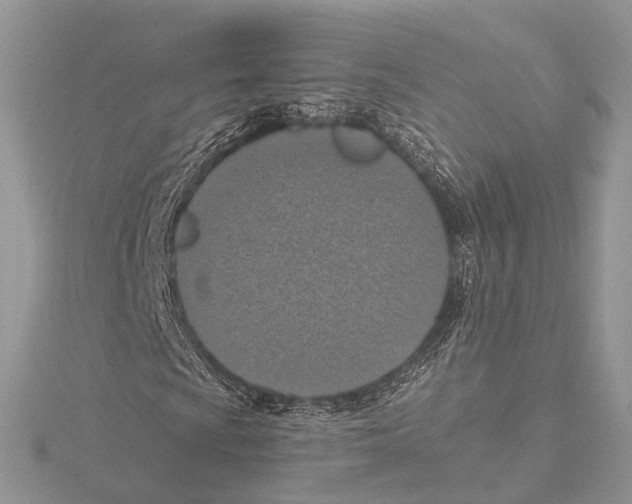 X0000115441009200912020940