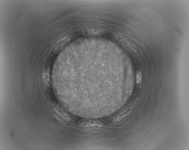 X0000115441011200912020940