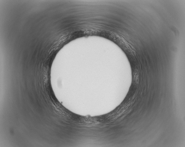 X0000115441012200912020940