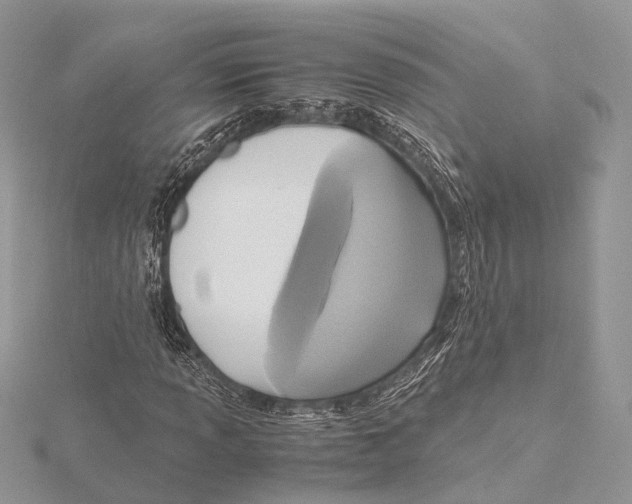 X0000115441013200912020940