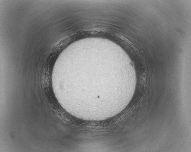 X0000115441014200912020940