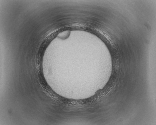 X0000115441015200912020940