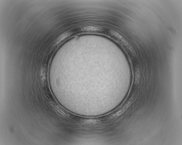 X0000115441017200912020940