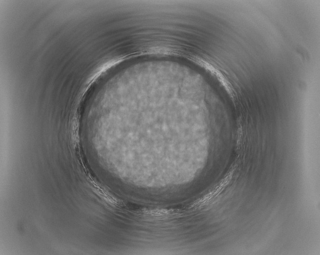 X0000115441019200912020940