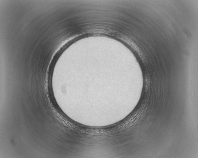 X0000115441020200912020940