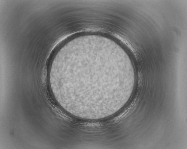 X0000115441021200912020940