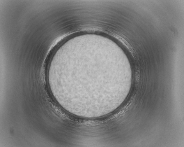 X0000115441022200912020940