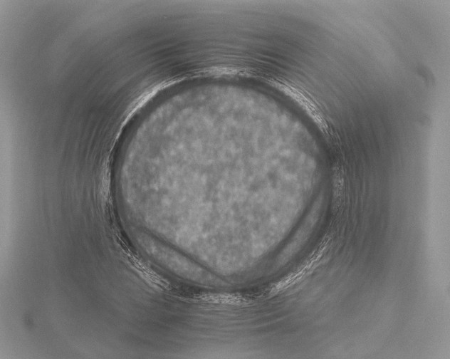 X0000115441023200912020940