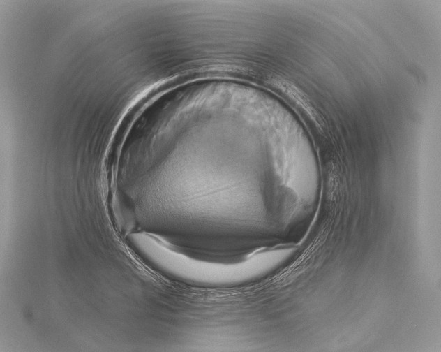 X0000115441024200912020940