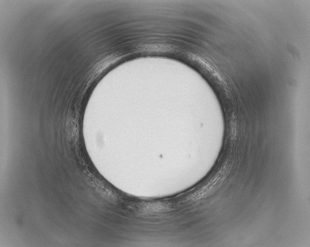 X0000115441025200912020940