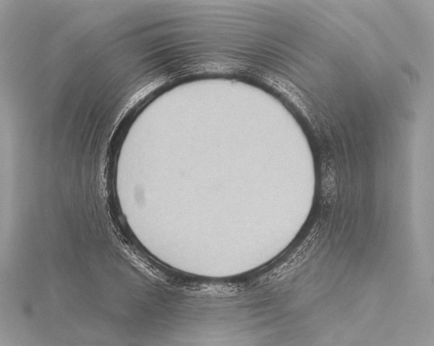 X0000115441026200912020940