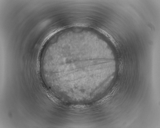 X0000115441027200912020940