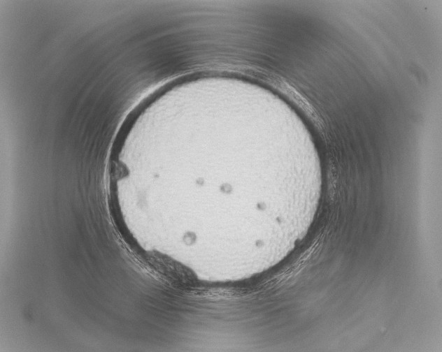 X0000115441028200912020940