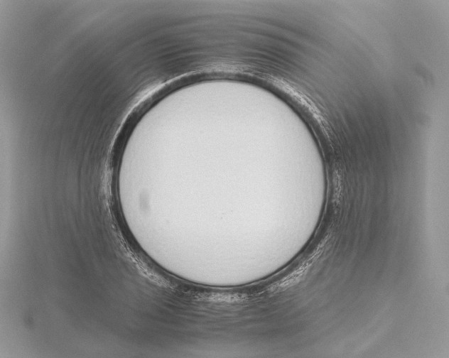 X0000115441029200912020940