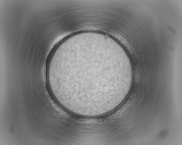 X0000115441030200912020940