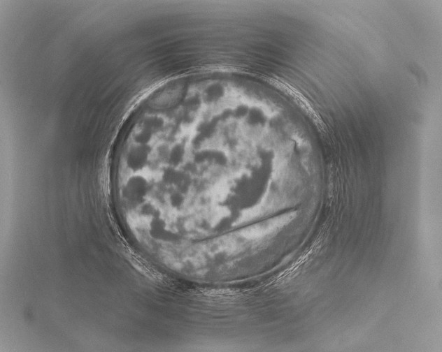 X0000115441031200912020940