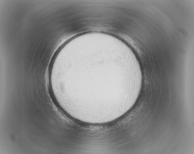 X0000115441032200912020940