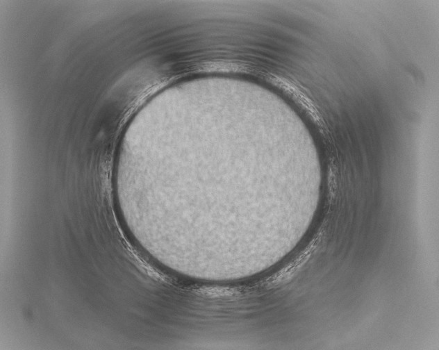 X0000115441033200912020940