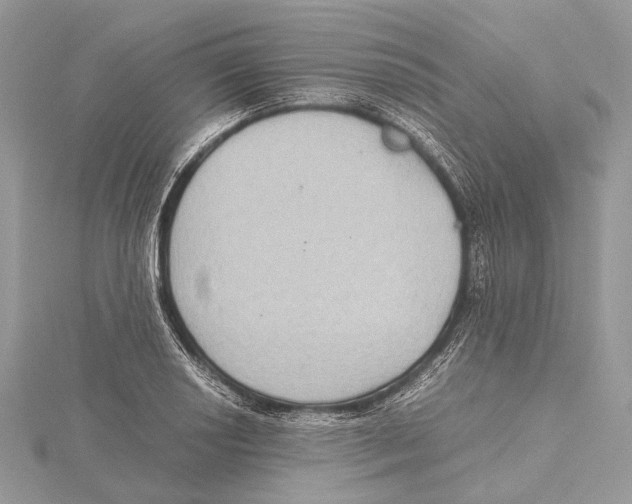 X0000115441034200912020940