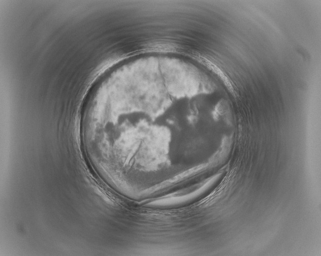 X0000115441035200912020940