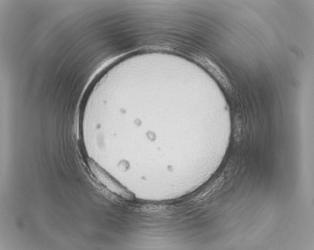 X0000115441036200912020940