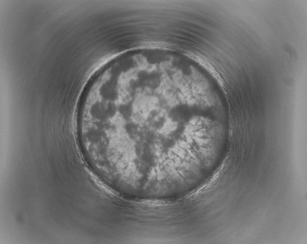 X0000115441037200912020940