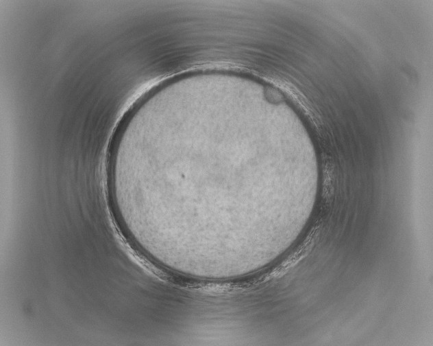 X0000115441038200912020940