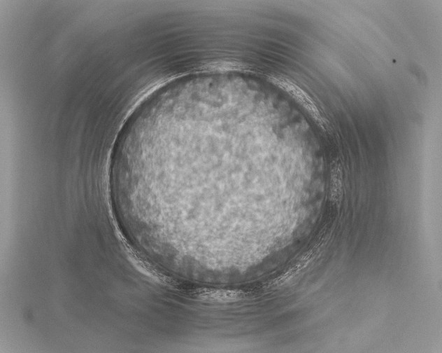 X0000115441039200912020940