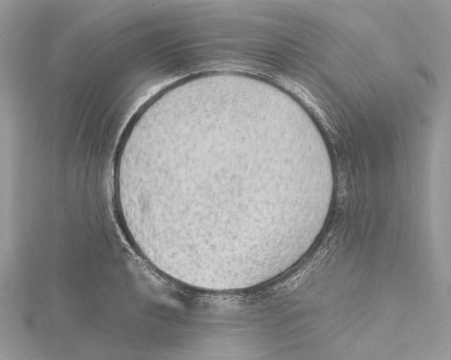 X0000115441040200912020940