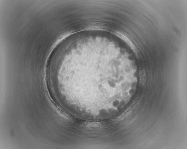 X0000115441043200912020940