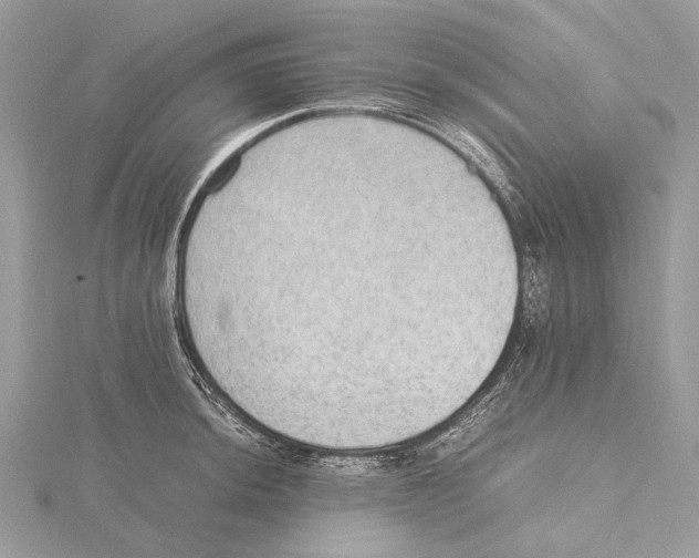 X0000115441044200912020940