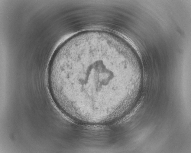 X0000115441045200912020940