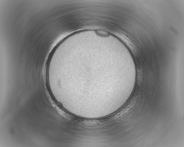 X0000115441046200912020940