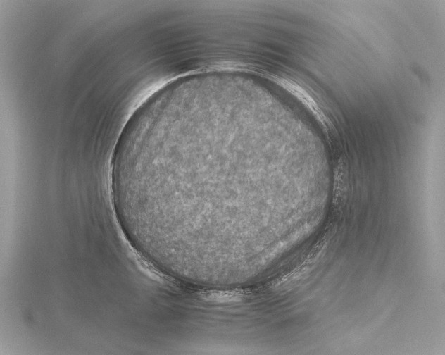 X0000115441047200912020940