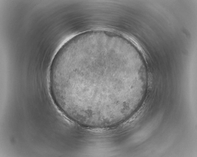 X0000115441048200912020940