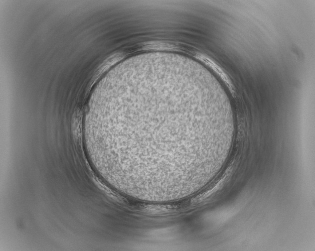 X0000115441049200912020940