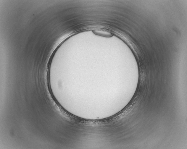 X0000115441050200912020941